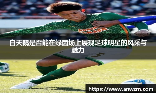 白天鹅是否能在绿茵场上展现足球明星的风采与魅力